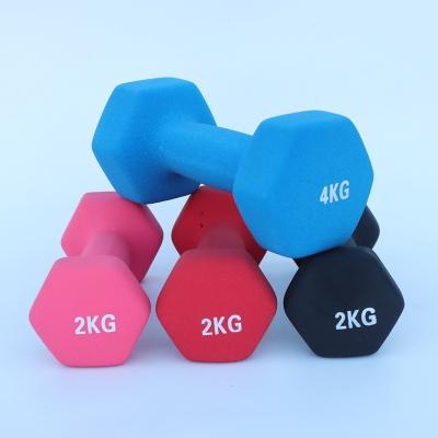 China Home Use Dumbbell Solid Round Dumbbells For Gym 10 Kg Dumbbells for sale