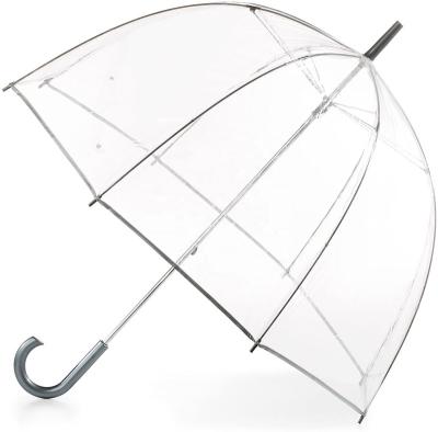 China Promotional Farming Gift Women's Clear Bubble Umbrella for sale