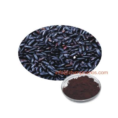 China 100% Pure Natural Natural Organic Black Rice Extract Powder 25% Anthocyanin Extract Powder for sale