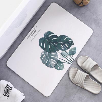 China Wholesale Soft Viable Animal Diatomite Anti Slip Quick Dry Bath Foot Mat For Bathing Bath Accessory Set for sale