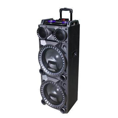 China Custom Remote Control Speaker Big Sound Box Mono Amplifier For Subwoofer for sale