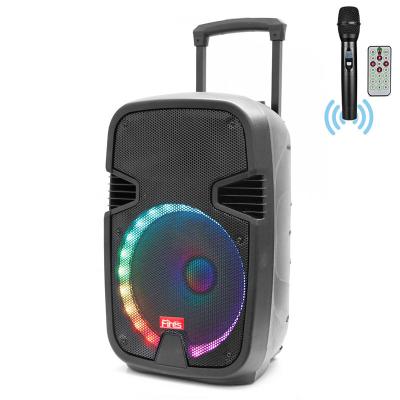 China Audio Factory Best-selling Waterproof Speaker 15inch Trolley Portable Speakers Case Outdoor Audio Amplifiers With LED Light for sale