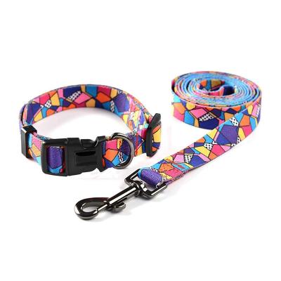 China 2021 Amazon Hot Sales Stocked Colorful Adjustable Dog Collar With Durable Nylon Leash For Large Dog Walking Leash for sale