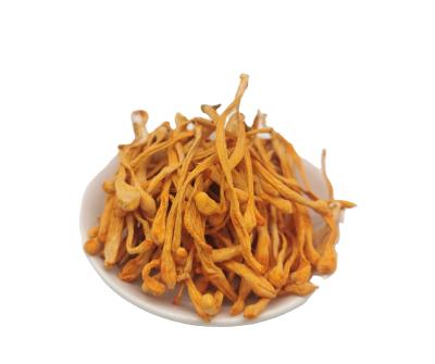 China Dry Air Drying Makers Mixed Cordyceps Mushroom Washing And Drying Dehydrated Vegetable for sale