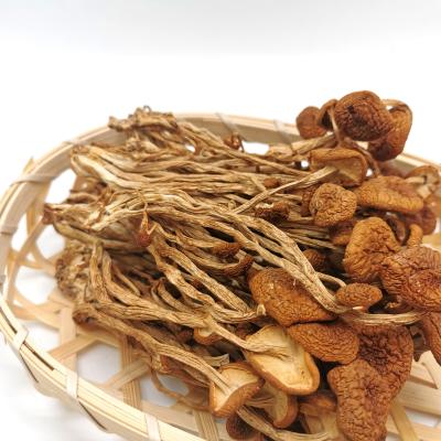 China Takeout Oyester Tea Tree Dry Mushroom Shitake Sliced ​​Bulk Cartoon Dried Mushroom for sale