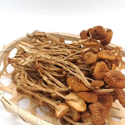 China Dried Spinner Chinese Traditional Food AD Dried Organic Vegetable Tea Tree Mushroom for sale