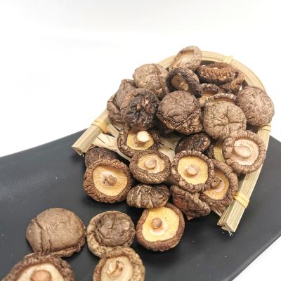 China Porcini Price Dried Shiitake Dried Shiitake Mushrooms Spreads 3cm Wild Dried Shiitake Mushrooms Mushroom for sale