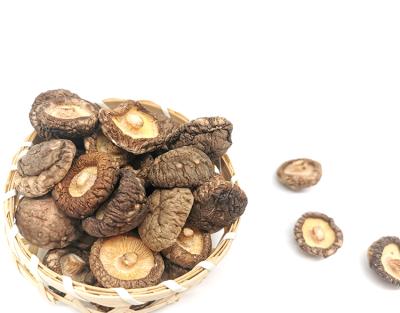 China wholesale dries best per price dries 3cm of 2021 shiitake mushrooms for sale