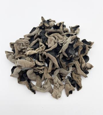 China Dry top wooden ear dried black fungus Leve2 dried back black fungus for sale