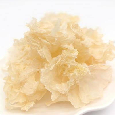 China Hot Sale Dry Dried White Fungus Natural Tremella Dried White Fungus for sale