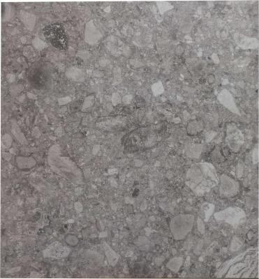 China Terrazzo Porcelain Rustic Floor Tiles for Indoor Outdoor 600x600mm,grey color for sale