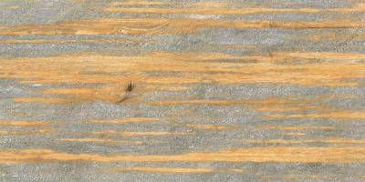 China 60x120cm/20x120cm  wood look tiles,rustic porcelain tile,stone beige color for sale