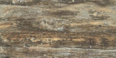 China 600x1200mm outdoor wood tile,matt rustic porcelain floor tile.wood color for sale