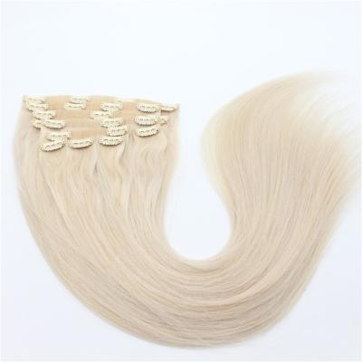 China 2021 Silky Straight 100% Virgin Remy Hair Straight Clip In Hair Extensions New Hot Selling 100% Human Hair for sale