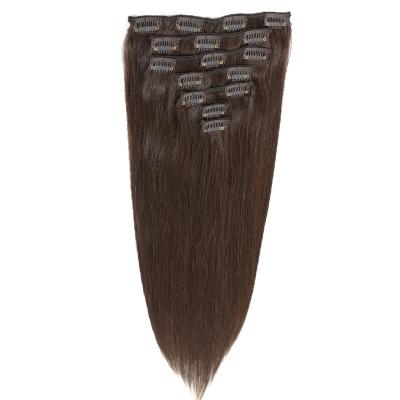 China Healthy Natural Hot Selling Luster Human Remy Hair 12