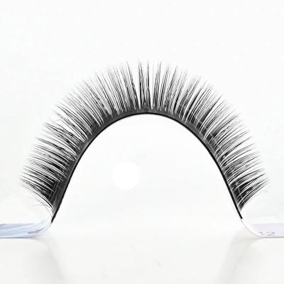 China Private Label Thick Synthetic 0.03 Pre Made Fast Volume Eyelash Extensions Korea PBT Fan Eyelash Extensions Bulk Easy Deliveries for sale