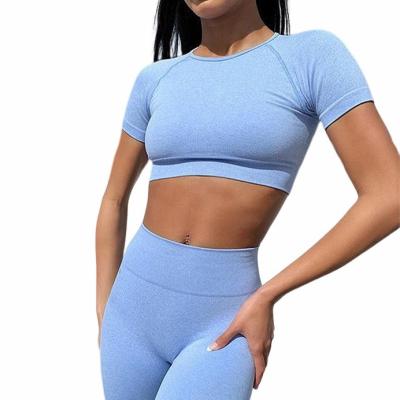 China QUICK DRY Lowest Prices High Waist Tight Sport Top Bra Seamless Leggins Women Yoga Wear Gym Fitness Sets for sale