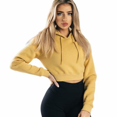 China Sustainable Custom Blank Oversized Raw Hem V Cut Fitness Yoga Wholesale Zip Up Gym Clothing Women Crop Top Hoodie for sale