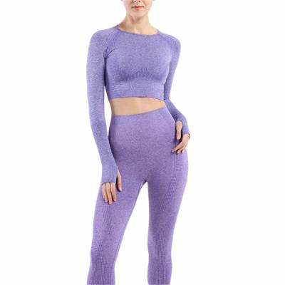 China Anti-Bacterial Long Sleeve Women Crop Top Seamless Yoga Top Sports Clothing for sale