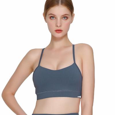 China Anti-Bacterial Sport Bra Removable Pads Y-shaped Beauty Back Yoga Bra Removable Pads Activwear Workout Tops Bra for sale