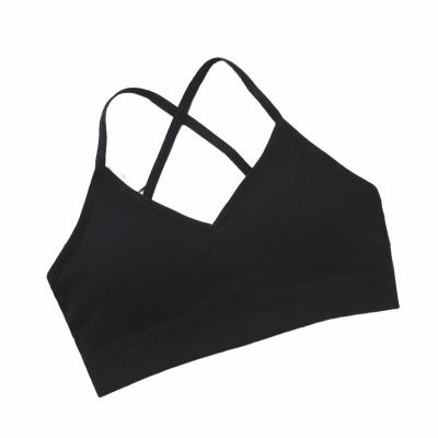 China Breathable Wholesale Oem Customization Sports Seamless Cozy Quick-drying Yoga Sports Bra For Women for sale