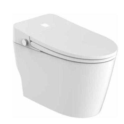 China Ceramic WC Siphonic Automatic Operation Bathroom Sanitary Ware Sleek Design One Piece Toilet for sale