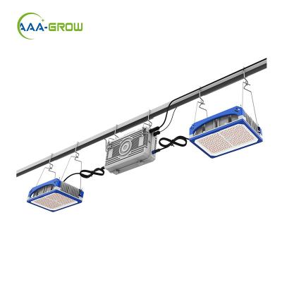 China Seed Starting 2022 Fashionable Europe Greenhouse Led Grow Light Replace 1000w HPS Full Spectrum Led Top Light 1000W 1300W 1560W 2000W 2400W for sale