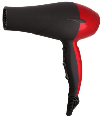 China AC Motor Ionic Professional Hair Dryer with High Power for sale