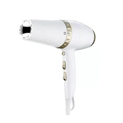 China Ionic Professional 2 in 1 Ionic Twist Hair Styler Hair Straightener Dryer Hair Dryer for sale