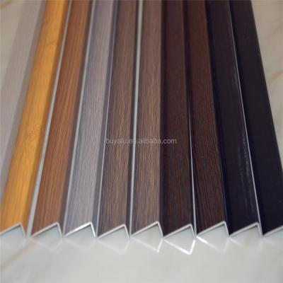 China Eco - Friendly Hot Selling Aluminum Edge Vinyl Mat Trim For Household for sale