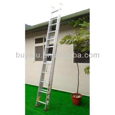 China Telescopic Ladders 2 Sections Aluminum Extendable Ladder In Silver Anodized for sale