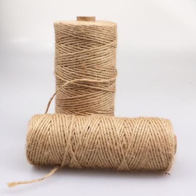 China 2mm/100m DIY Plant Sustainable High Quality Natural Brown 100% Jute Bond Hemp Rope for sale