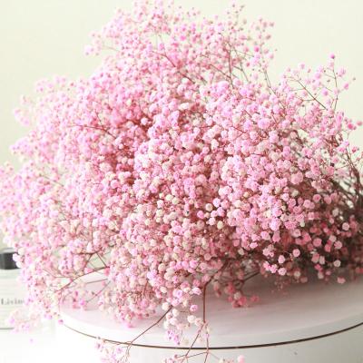 China Amazon Flower Decorative Gypsophila Preserved Babysbreath Flower For Wedding Decoration 65cm for sale