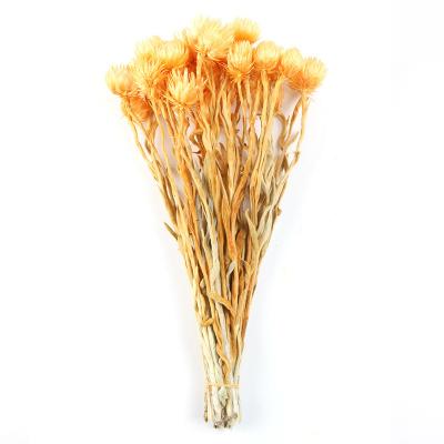 China Wholesalers Dried Flower Rock High Quality Natural Dry Real Flower For Home Decor 35cm for sale