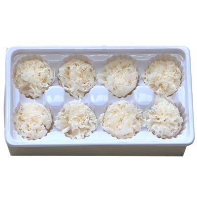 China Wholesale quality are real single preserved fresh carnation for mother's day gifts 4-5cm for sale