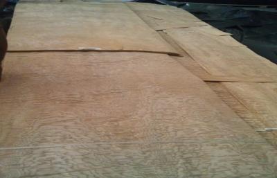 China Yellow Ash Burl Wood Veneer With Ball Grain , Sliced Cut Veneer for sale