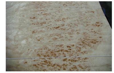 China Burl Wood Veneer sheets for sale