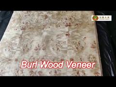 natural sliced cut poplar burl veneer sheets a grade for furniture decoration