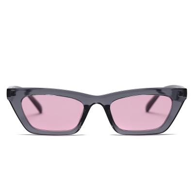 China Fashion TR90 sunglasses 2021custom women cat eye sunglasses wholesaleer for sale