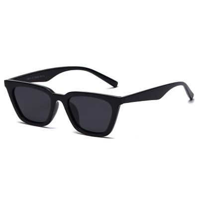 China Fashion Sunglasses 2021 Fashion Cat Eye Sunglasses TR90 Women Men With Polarized Lens for sale