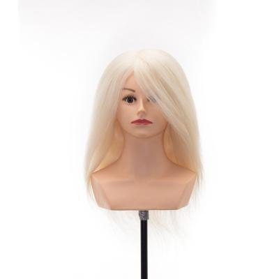 China Silky Straight Wave Wholesale Price Beauty School Teaching Tools Flat Model Practice Training Head Barber Shop Haircut Asian Mannequin for sale