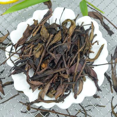 China Famous Chinese Linnan Oolong Single Low Fat FengHuangDancong Guangdong Phoenix Bush Tea For Fruit Tea for sale