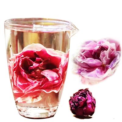 China EU Compliance Corolla Rose Flower Healthy Rose Blooming Planting Herbal Tea Plant Based Herbal Tea for sale