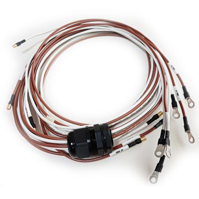 China Automotive 2022 High Quality OEM RTD Ring Wire Harness Assembly Pt 100 Class B 2 Silicone Wires Customize for sale