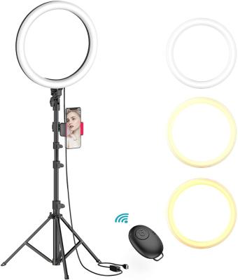 China SHENPU PORTABLE Selfie Ring Light with Tripod Mount and Phone Holder for Live Stream for sale