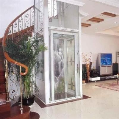 China Home Elevator Villa Elevator Home Elevator With Good Parts for sale