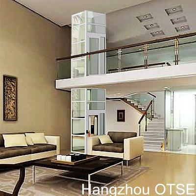 China Glass Guided Lifts Small Car Lifts For Homes Lift Made In China for sale