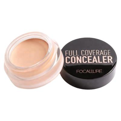 China Focallure 2017 Hot Selling Foundation Waterproof Cosmetic Full Coverage Makeup Liquid Concealer Pencil for sale