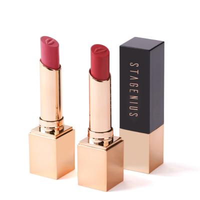 China STAGENIUS Makeup Waterproof Matte Nude Lip Stick Vendor Lipsticks Set 5 Colors Lipstick for sale