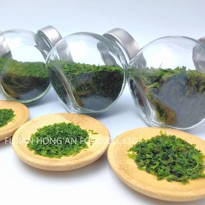 China Customer Needs Aonori Green Seaweed Texture nori Powder Umami Flavor for sale